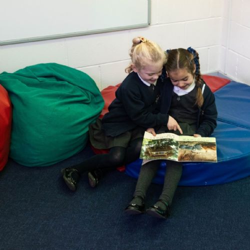 Primary Butterfly Room